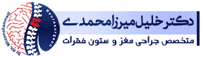 دکتر خلیل میرزامحمدی